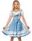 Nydelig Luksus Dirndl-Oktoberfestkjole med Blomstermønster og Forklæde