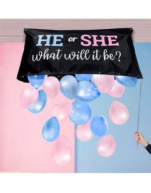 Gender Reveal Kit Pose med Ballonger
