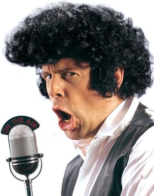 Elvis Look - Sort Paryk