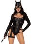 Fierce Feline - Catwoman Inspireret Kostume