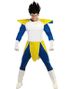 Par kostume - Anime inspireret Dragon Ball kostumer