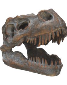 Tyrannosaurus Rex Skelethoved - Fritstående Figur 16 cm