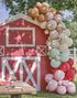 Ballongbuesett i 6 Forskjellig Fargede Ballonger med Gårdstema - Farm Friends