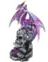 Loyal Defender - Drage og Hodeskallefigur 22,5 cm