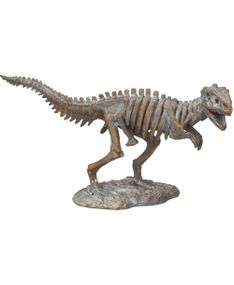 Tyrannosaurus Rex Skeletfigur 33 cm