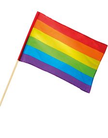 Stort Regnbuefarvet Håndflag 45x30 cm