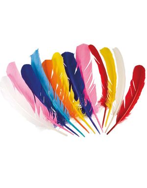 12 stk Store Fjer i Forskellige Farver 30 cm