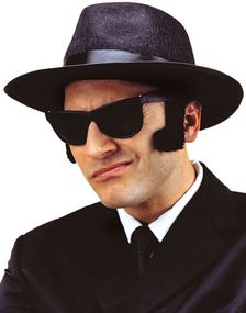 Sorte Blues Brothers Matte Wayfarer Briller 