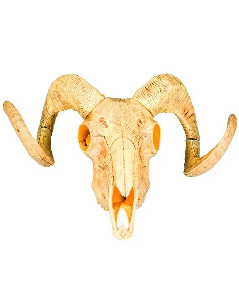 Buffalo Kranie 29x38 cm - Wild West