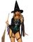 Broomstick Babe - Heksekostume til Dame