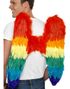 Rainbow Wings - Fjervinger