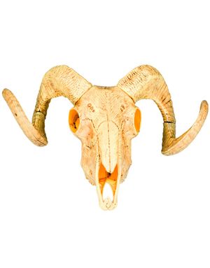 Buffalo Kranie 29x38 cm - Wild West
