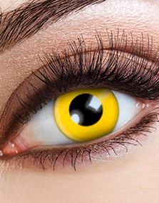 1900713600_6Yellow Crazylinser
