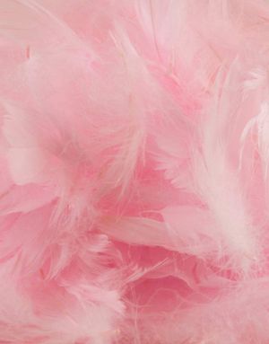 50 gram Lys Pink Dekorative Fjer 6-12 cm