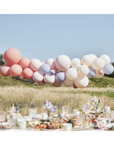Blush, Nude og Blå Ballongbuesett