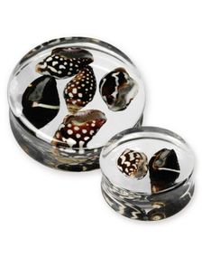 Sea Shells - Gennemsigtig Piercing Plug
