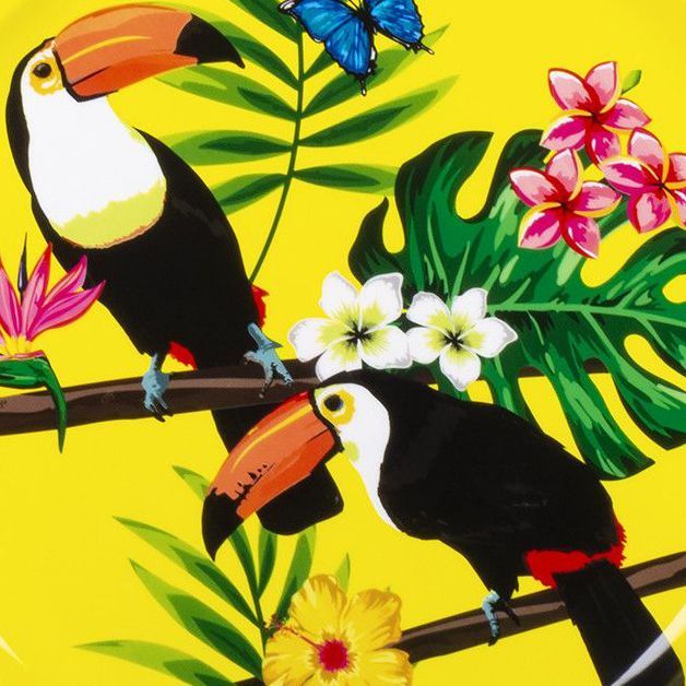 Toucan