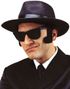 Sorte Blues Brothers Matte Wayfarer Briller 
