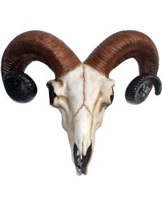 Rams Skull Figur med Vægfæste 33 cm