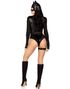 Fierce Feline - Catwoman Inspireret Kostume