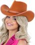 Brun Cowboyhatt med Brunt Bånd og Nagler