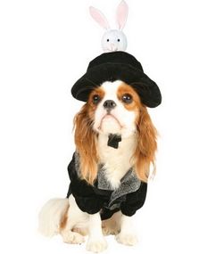 Hat Trick Hundekostume