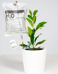 Planteliv støtten - Selvvanning til Planter