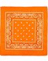 Orange Paisley Bandana